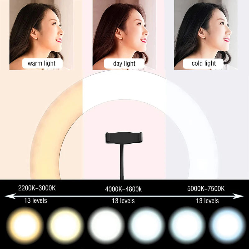 10 Inch LED Ring Light Photographic Selfie Ring Lighting with Phone Holder - Check It