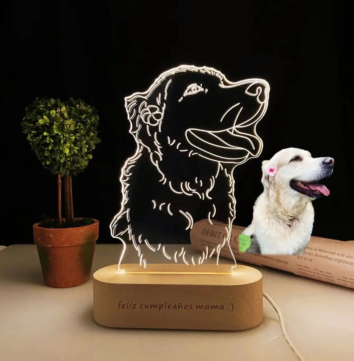 3D LED Night Light Gift - Check It