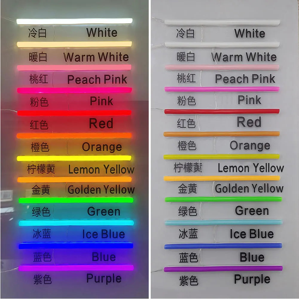Custom Neon Sign - Check It